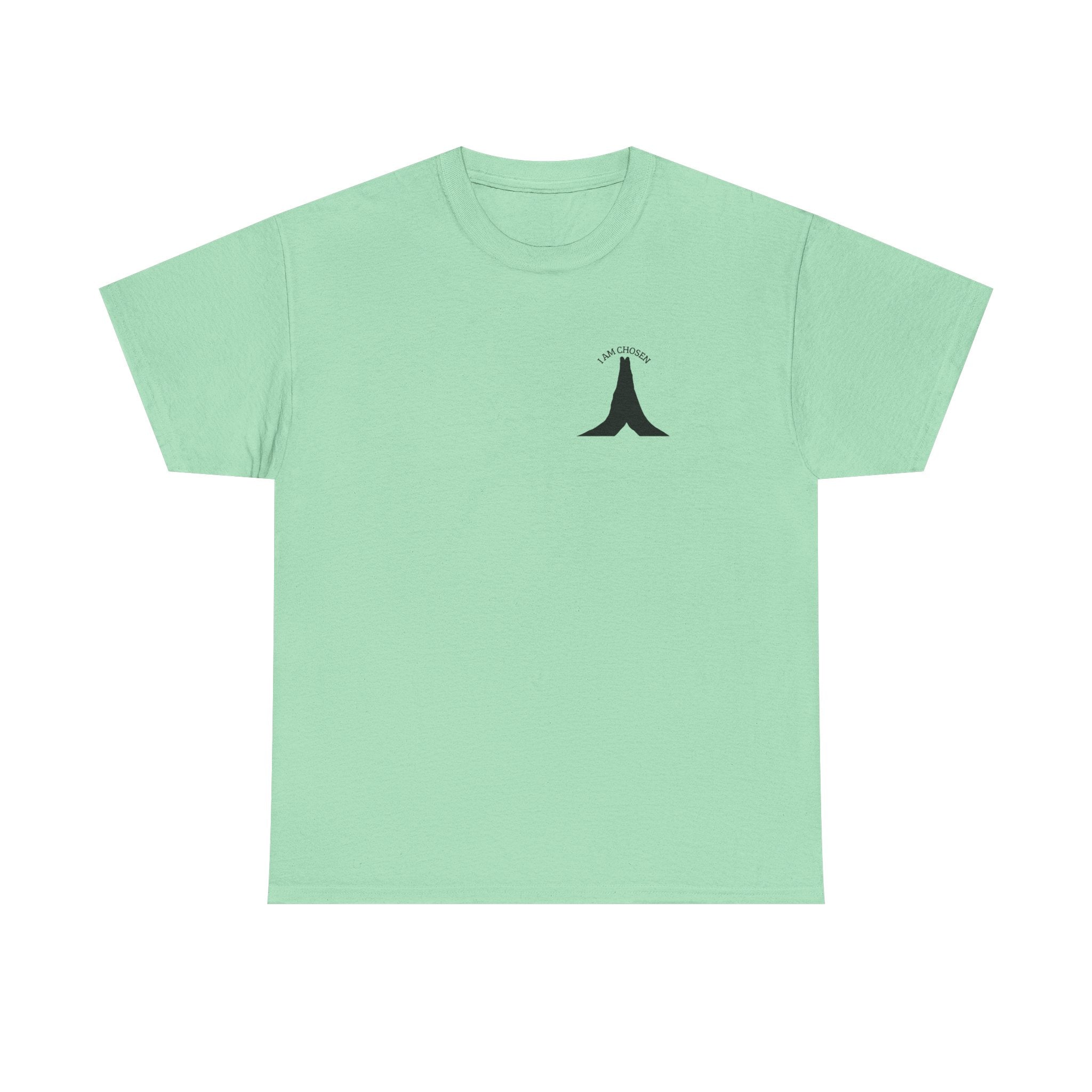 JKFstylez T-Shirt Mint Green / S Unisex T- shirt