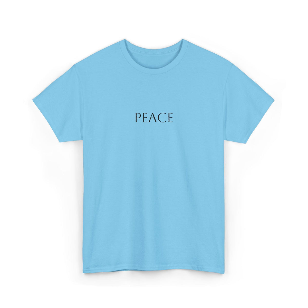 JKFstylez T-Shirt Sky / S Fruit of the Spirit Unisex Heavy Cotton Tee